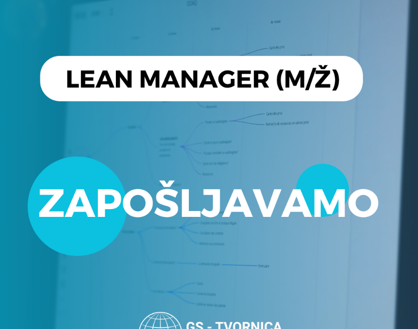 LEAN MANAGER (m/ž)